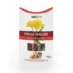 Hamiform - Pause Nature Racines de Pissenlit pour Rongeur - 120g