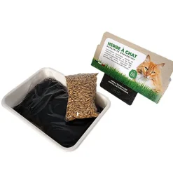 Herbe à chat Barquette 300gr BIO