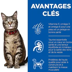 Hill's - Feline Adult Poulet pour Chat