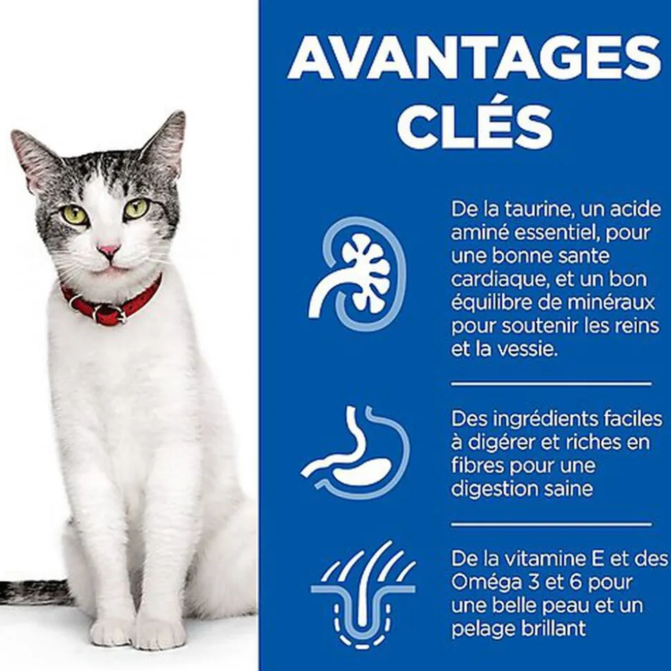 Hill's - Feline Senior 11+ Poulet pour Chat