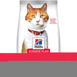 Hill's Science Plan - Croquettes Feline Adult Sterilised Cat  Saumon - 300g