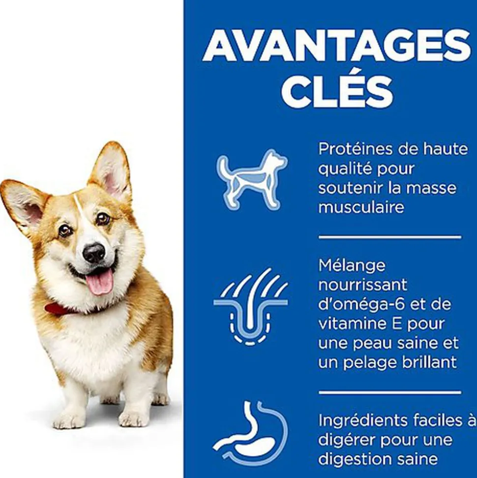Hill's Science Plan - Croquettes au Poulet et Dinde pour Chien de Petite Race