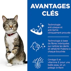 Hill's Science Plan - Croquettes Oral Care Chat au Poulet - 1,5kg