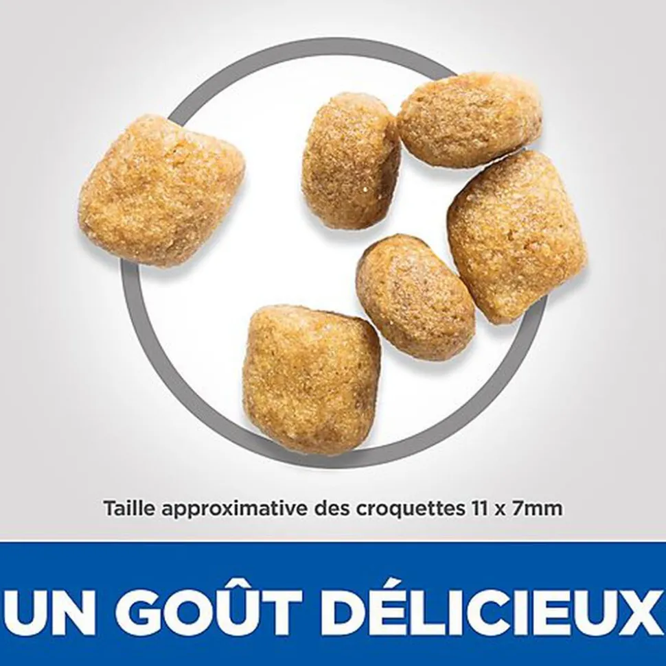 Hill's Science Plan - Croquettes Oral Care Chat au Poulet - 1,5kg