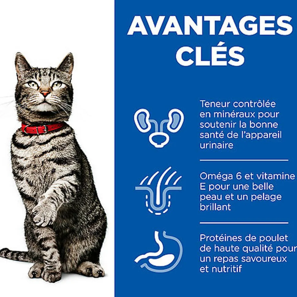 Hill's Science Plan - Croquettes Urinary & Sterilised au Poulet pour Chat