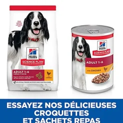 Hill's Science Plan - Croquettes Advanced Fitness Medium Adult Poulet pour Chien