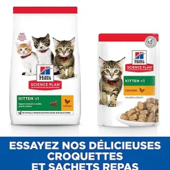 Hill's Science Plan - Kitten Multipack 12 Sachets Repas Pour Chaton Poulet Et Poisson  - 12x85g