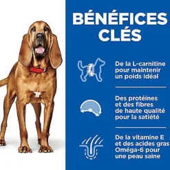 Hill's Science Plan - Mature Adult Light Croquettes Pour Chien Agé Au Poulet - 12kg