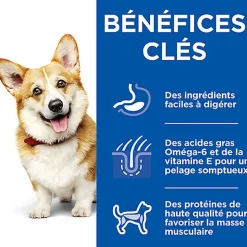 Hill’s Science Plan - Mijoté Pour Chien Adulte Small & Mini Au Poulet Et Légumes Ajoutés  - 12x80g