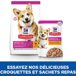 Hill’s Science Plan - Mijoté Pour Chien Adulte Small & Mini Au Poulet Et Légumes Ajoutés  - 12x80g