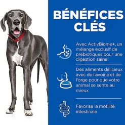 Hill's Science Plan - Perfect Digestion Large Breed Croquettes Pour Chien  - 12kg