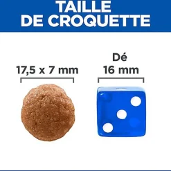 Hill's Science Plan - Perfect Digestion Large Breed Croquettes Pour Chien  - 12kg