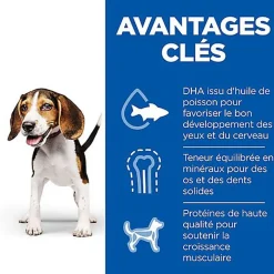 Hill's Science Plan - Puppy Croquettes Pour Chiot Au Poulet - 12kg