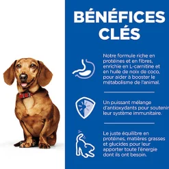 Hill’s Science Plan Perfect Weight Adult Small&Mini Mousse Chien Adulte Petite Race Dinde,  - 200g