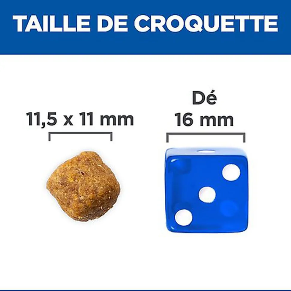 Hill's Science Plan Puppy Croquettes pour Chiot à l'Agneau et Riz