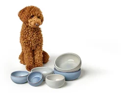 Hunter - Gamelle Lisboa en Céramique Multicolore