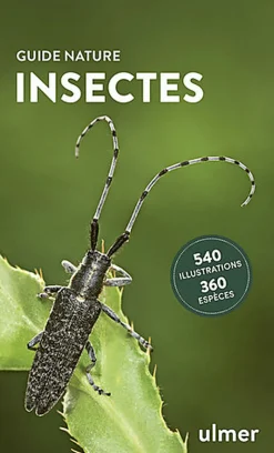 Insectes - Guide nature