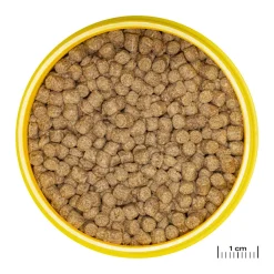 JBL - Aliment en Granulés Pronovo LOTL GRANO M pour Poissons Tropicaux - 250ml