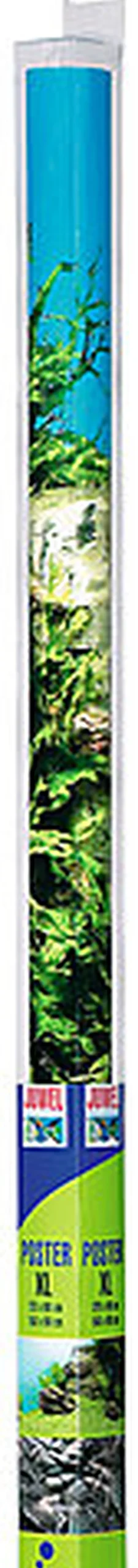 Juwel - Poster 1 pour Aquarium