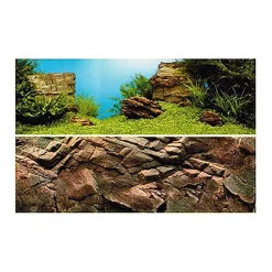 Juwel - Poster 1 pour Aquarium