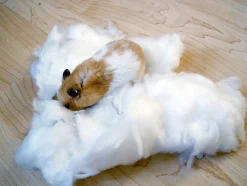 Kerbl - Coton blanc pour petits rongeurs - 30g