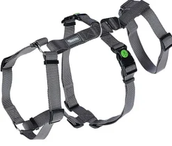 Kerbl - Harnais Antipanique Miami Gris pour Chiens - 38-52cm/15mm