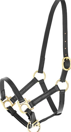 Kerbl - Licol poulain Eco cuir noir