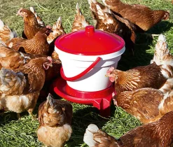 Kerbl - Seau-Abreuvoir avec Pieds pour Basse-Cour - 12L