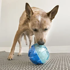 KONG - Distributeur Friandises Rewards Shell pour Petits Chiens - S