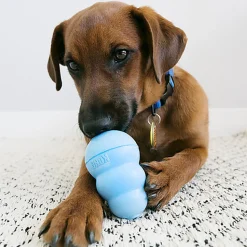 KONG - Friandises Snacks - S pour Chiot