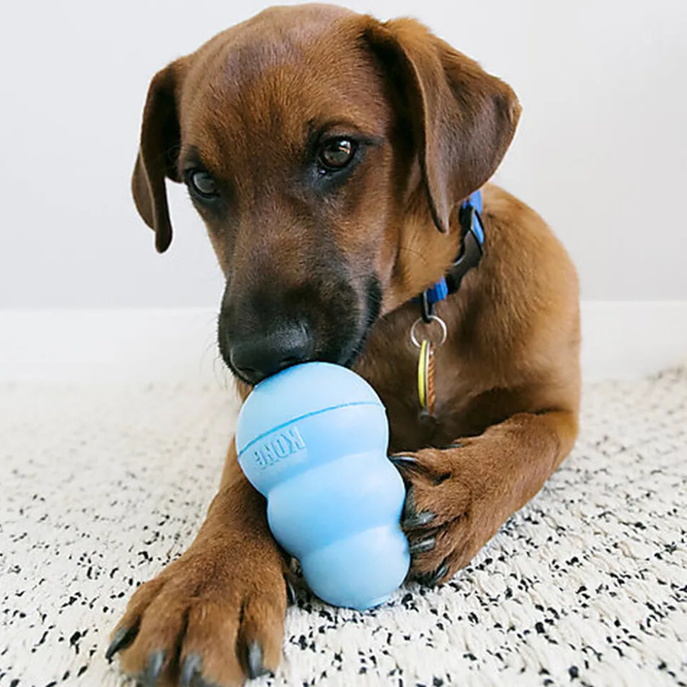 KONG - Friandises Snacks - S pour Chiot