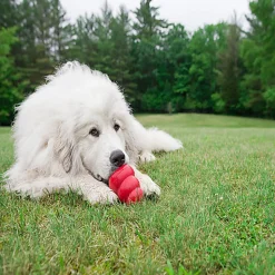 KONG - Jouet Classic en Caoutchouc pour Chien