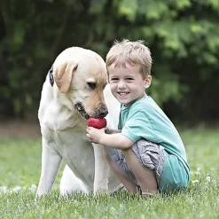 KONG - Jouet Classic en Caoutchouc pour Chien