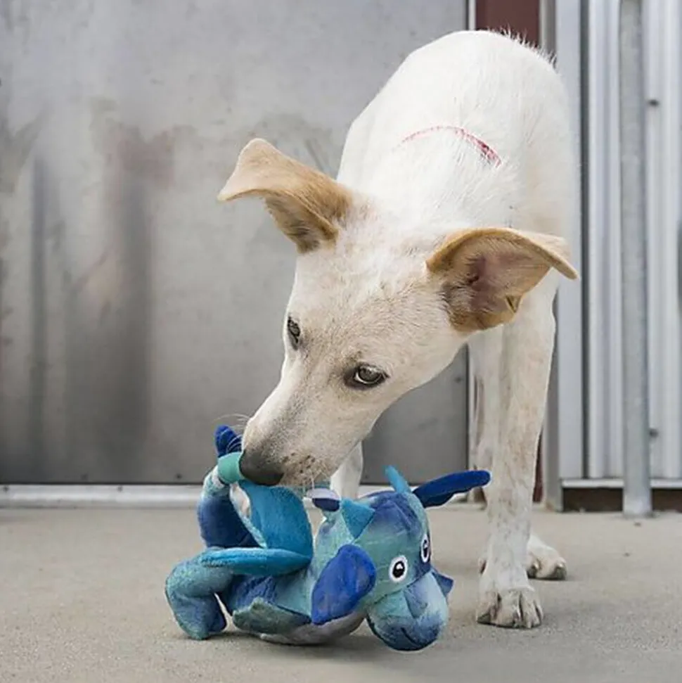 KONG - Jouet Dragon Knots pour Chien