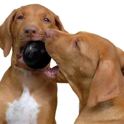 KONG - Jouet Extreme Ball pour Chien