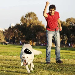 KONG - Jouet Extreme pour Chien