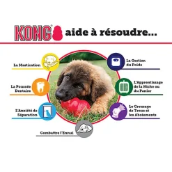 KONG - Jouet Extreme pour Chien