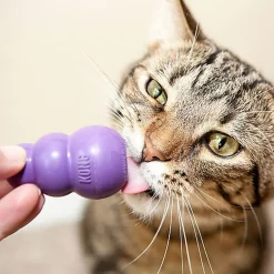 KONG - Jouet Kitty KONG en Caoutchouc pour Chats