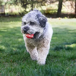 KONG - Jouet Pack 2 Balles Signature pour Chiens - S