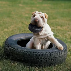 KONG - Jouet Pneu Extreme Tyres pour Chiens