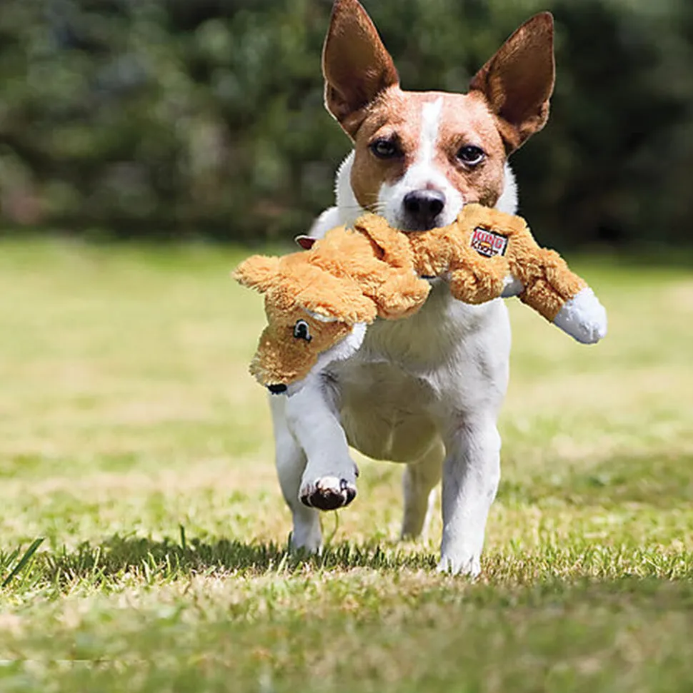 KONG - Jouet Scrunch Knots Raccoon pour Chiens