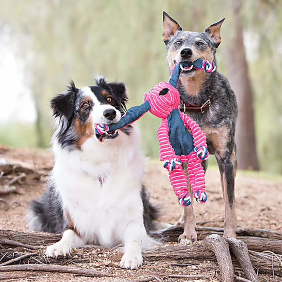 KONG - Peluche Floppy Knots Elephant pour Chien - M/L