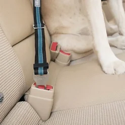Kurgo - Attache Sécurité Direct Seat-belt Voiture pour Chien - Bleu