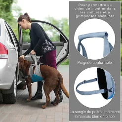 Kurgo - Harnais de Levage Up & About pour Chiens - 23 à 41Kg