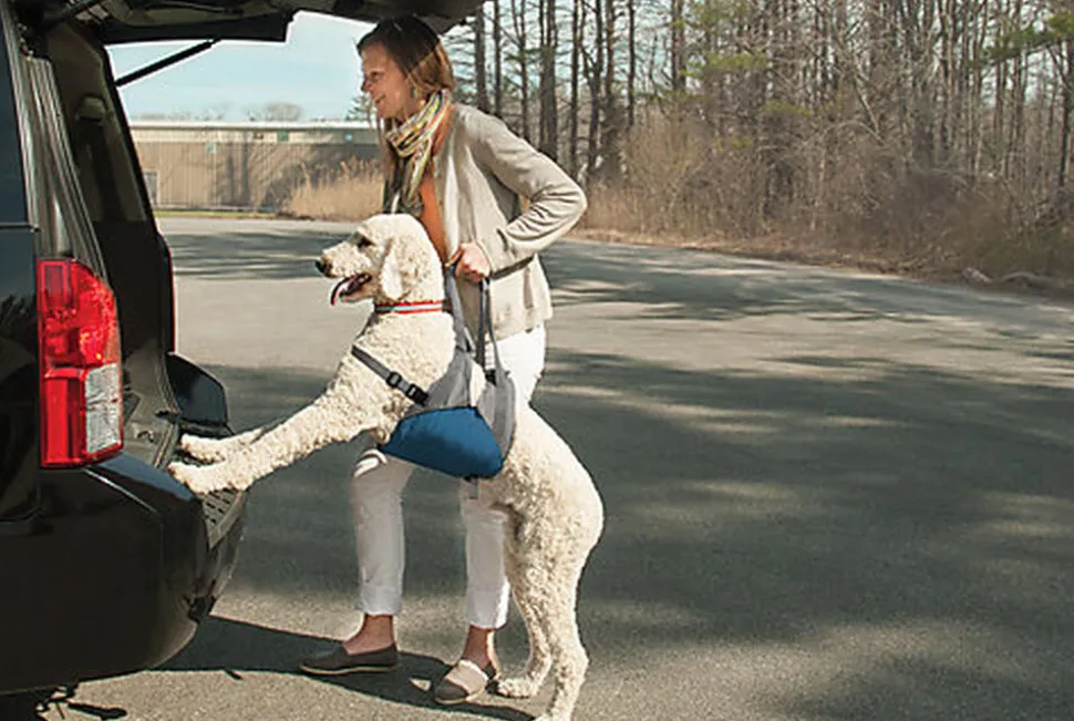 Kurgo - Harnais de Levage Up & About pour Chiens - 23 à 41Kg