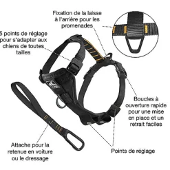 Kurgo - Harnais de Sécurité "Smart" Noir - Chien