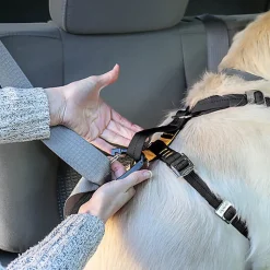 Kurgo - Harnais de Sécurité "Tru-Fit" Violet Pour Chien