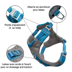 Kurgo - Harnais 