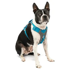Kurgo - Harnais 