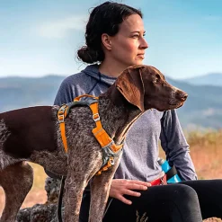 Kurgo - Harnais "Journey Air" Orange pour Chiens